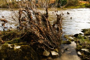 8228269780_b6c4fe6375_z