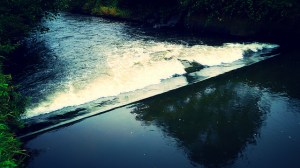 21590964425_567697f2e4_z