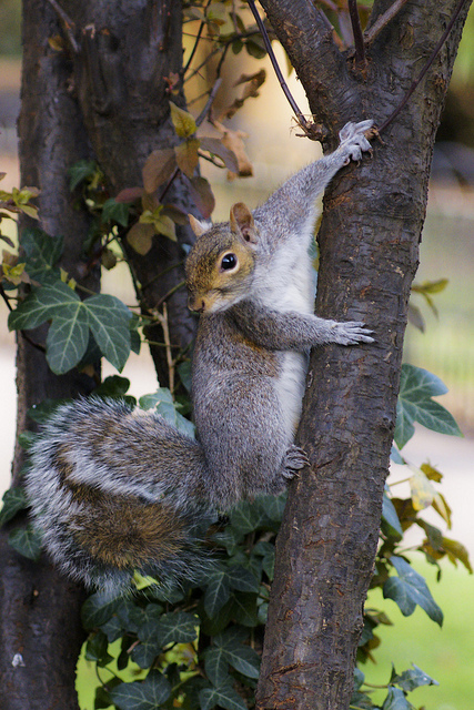 6877416600_e95f1a7c26_z