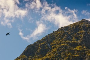 6950082188_b382b88f52_o