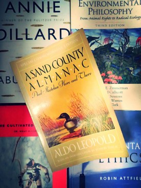 27525918806_a3ae08b3a0_k