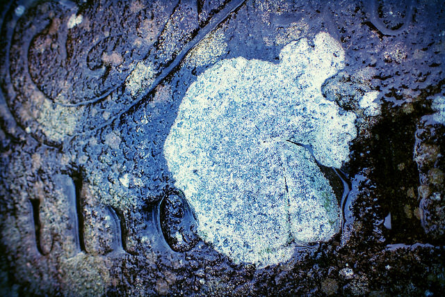 30454015024_dee04bf01f_z