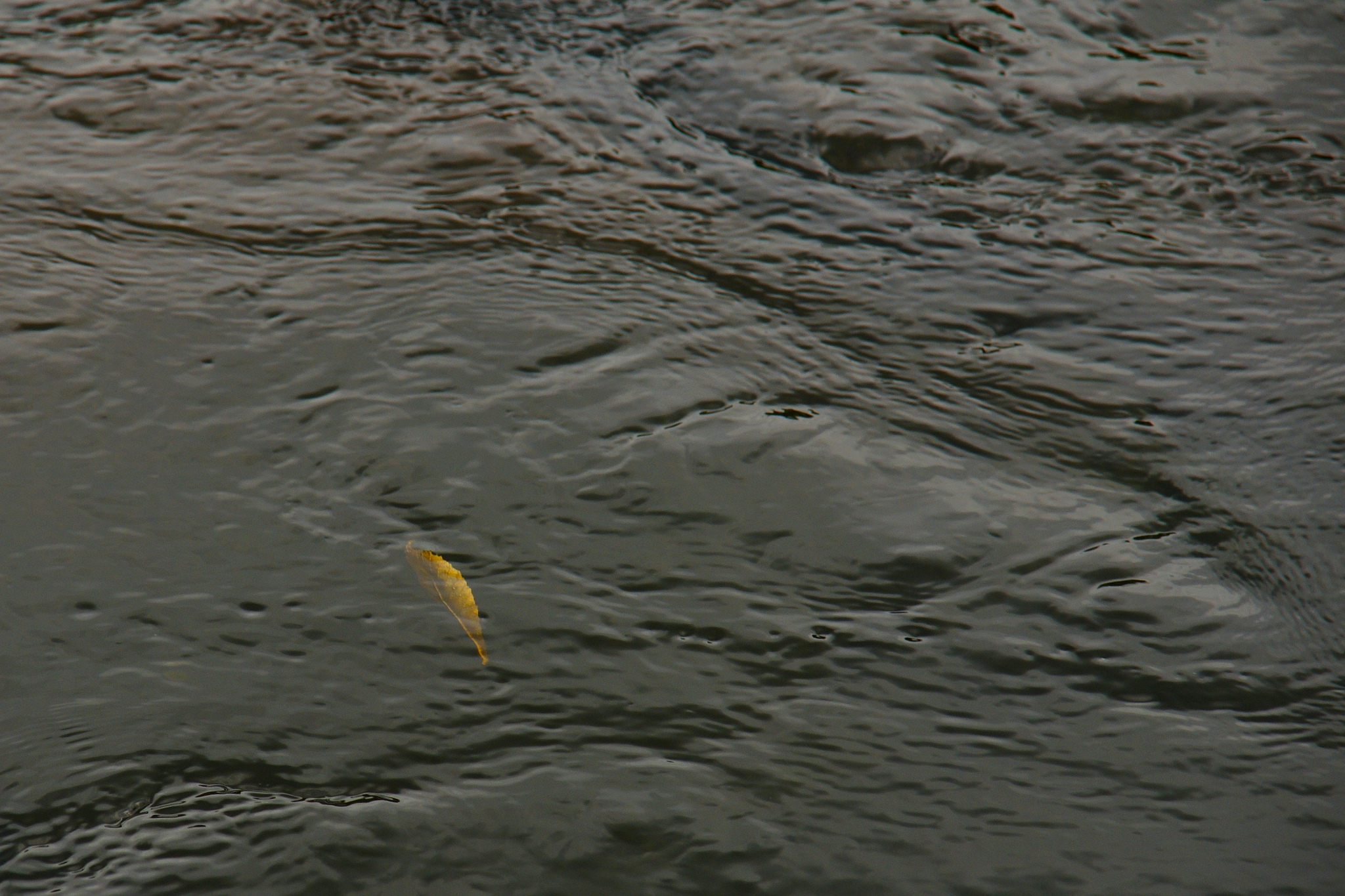 15193111857_b600d864f9_k