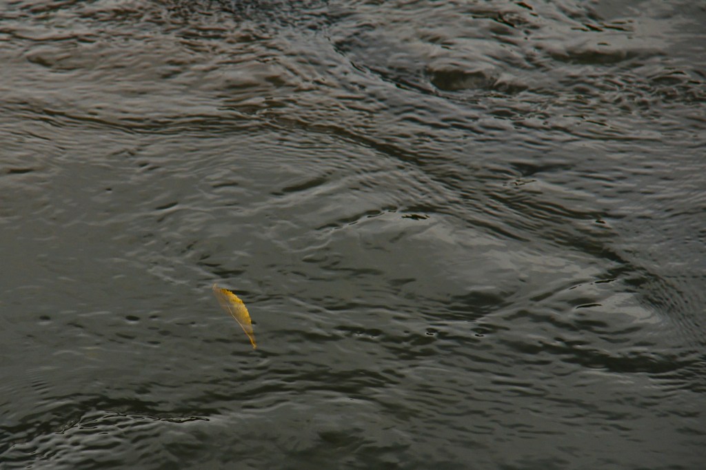 15193111857_b600d864f9_k