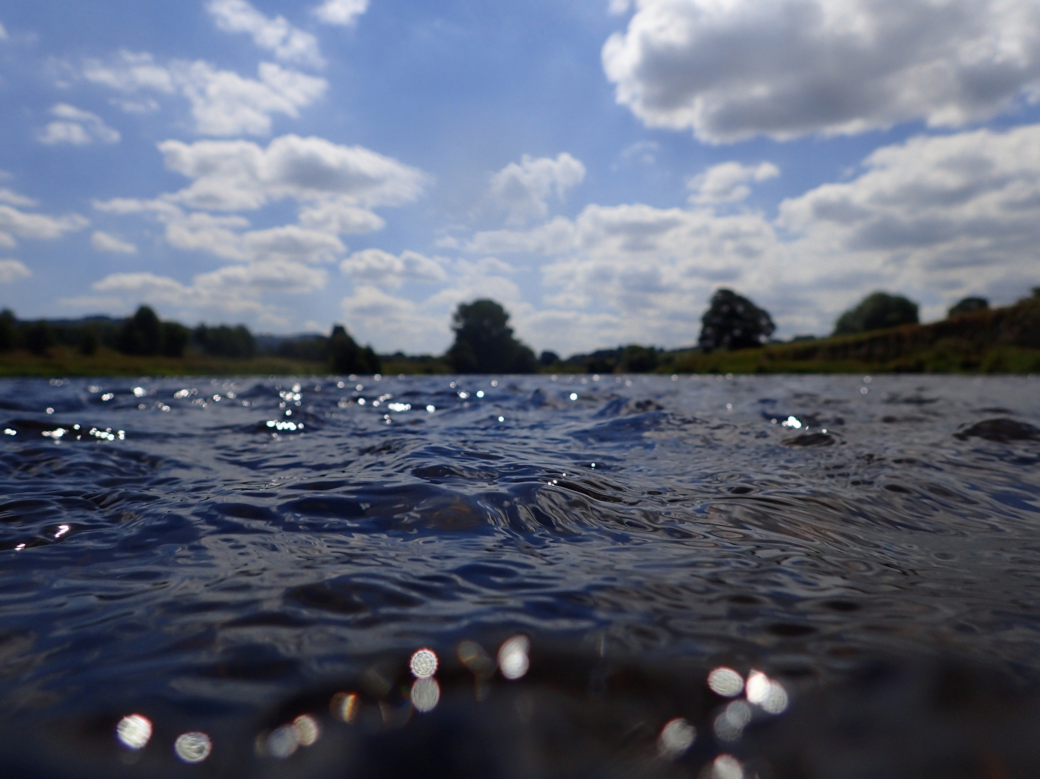 20407236271_646af3cedf_k