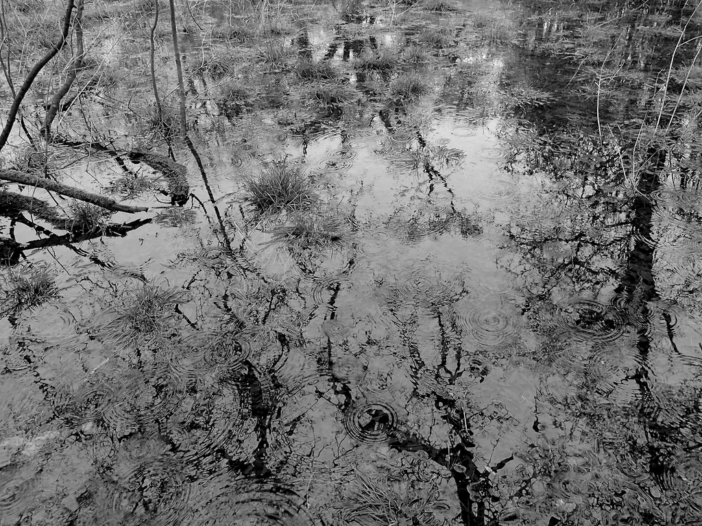 24661005390_e71ddf7187_b