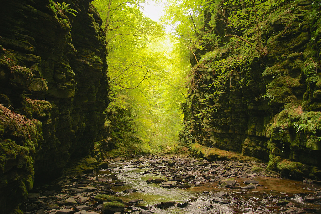 14977932681_e706185f2d_b