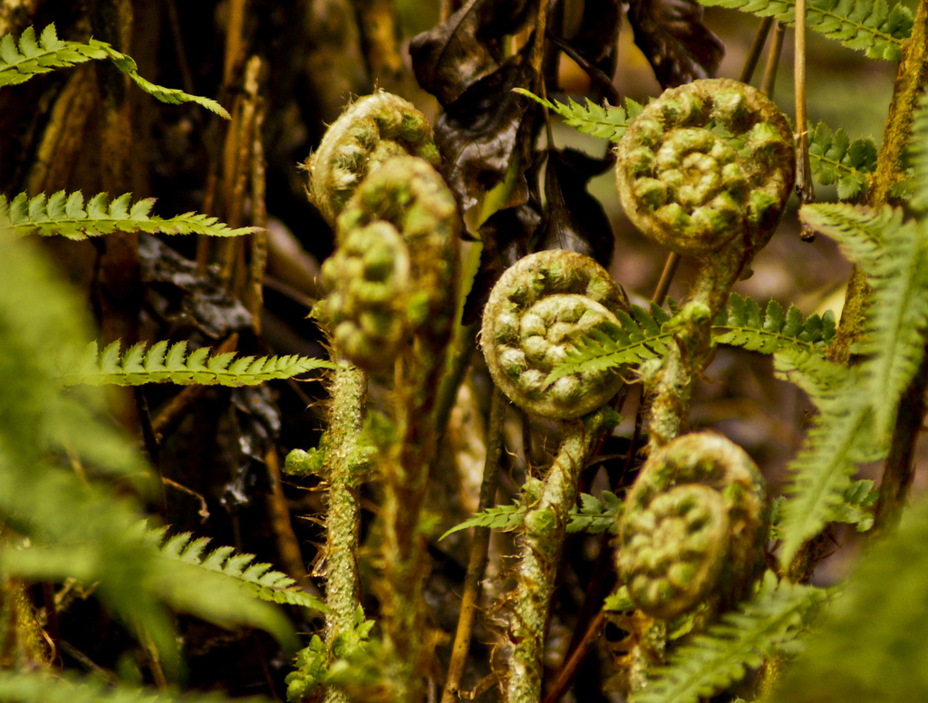 7128901907_e7e66fdb93_b