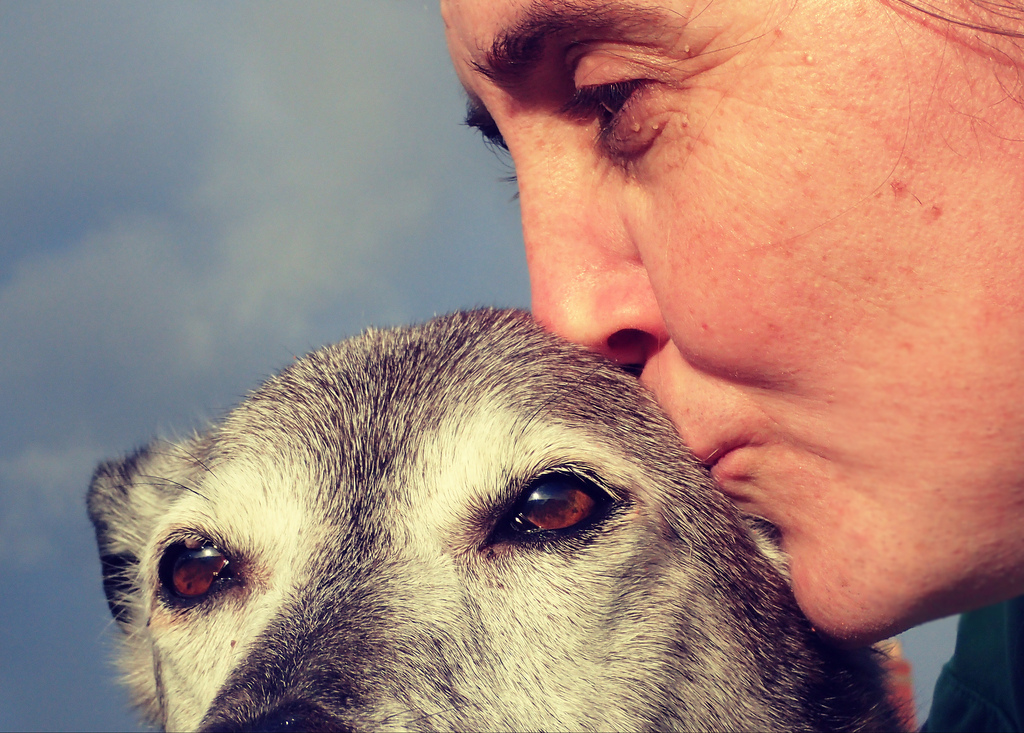 39431393881_358a0014e9_b