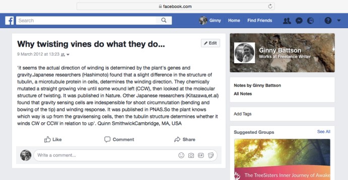 41512721191_c00a0c98b1_o