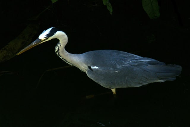 14572923073_5d4db9ccf6_b